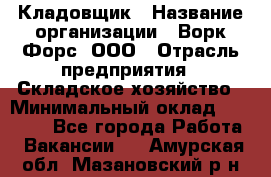 Кладовщик › Название организации ­ Ворк Форс, ООО › Отрасль предприятия ­ Складское хозяйство › Минимальный оклад ­ 27 000 - Все города Работа » Вакансии   . Амурская обл.,Мазановский р-н